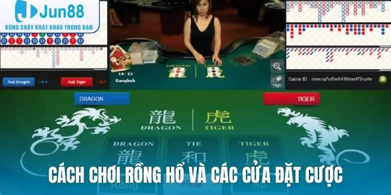 Cách chơi Rồng Hổ và các cửa đặt cược thường gặp tại nhà cái trực tuyến