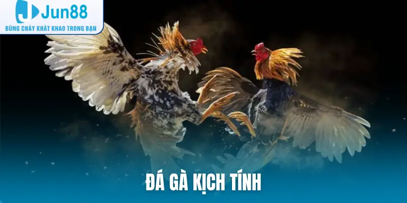 Đá gà kịch tính