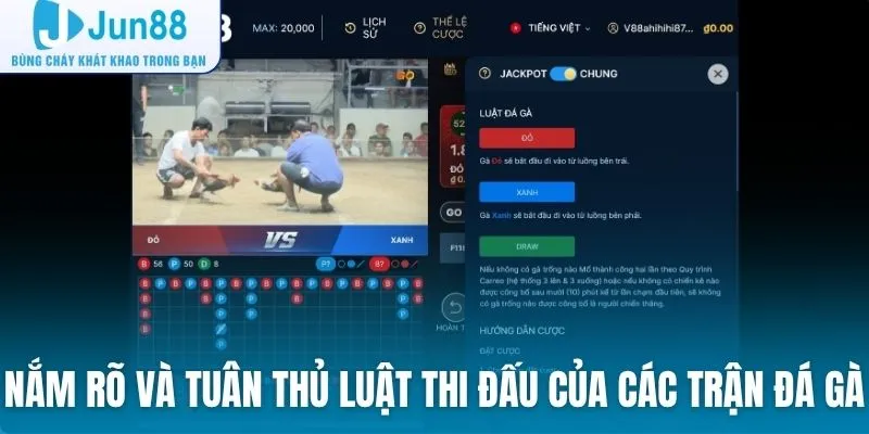 Nắm rõ và tuân thủ luật thi đấu của các trận đá gà nảy lửa