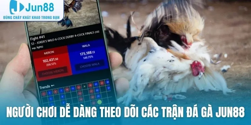 Người chơi dễ dàng theo dõi các trận đấu đá gà tại Jun88